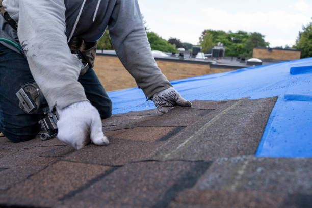 Quick and Trustworthy Emergency Roof Repair Services in Sebastian, TX